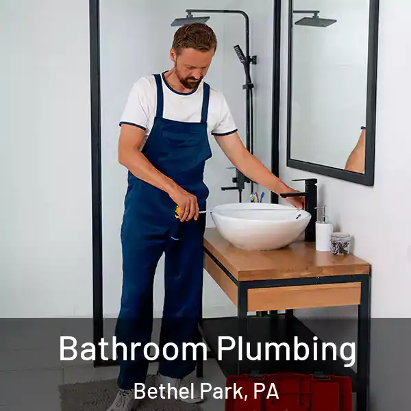  Bathroom Plumbing Bethel Park, PA