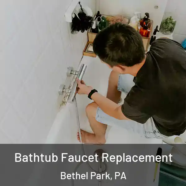  Bathtub Faucet Replacement Bethel Park, PA