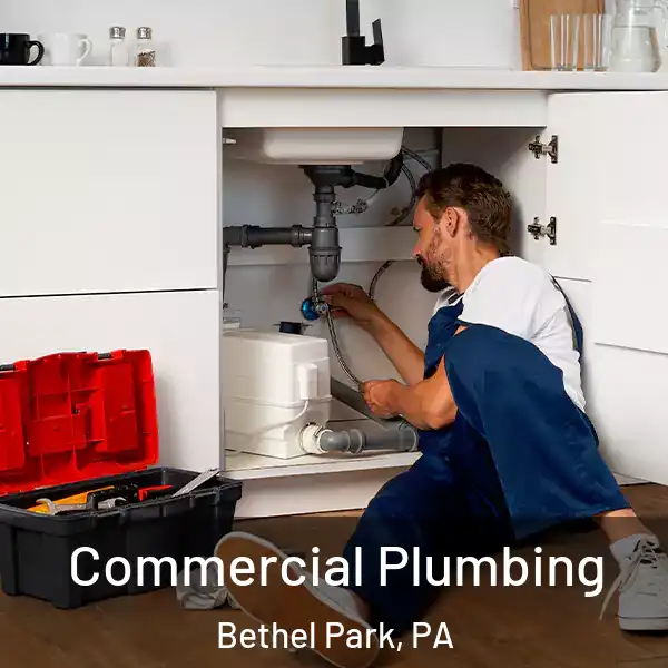 Commercial Plumbing Bethel Park, PA