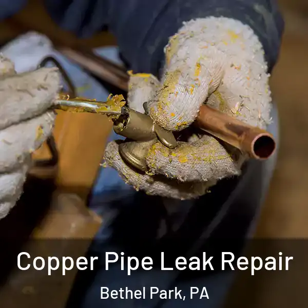  Copper Pipe Leak Repair Bethel Park, PA