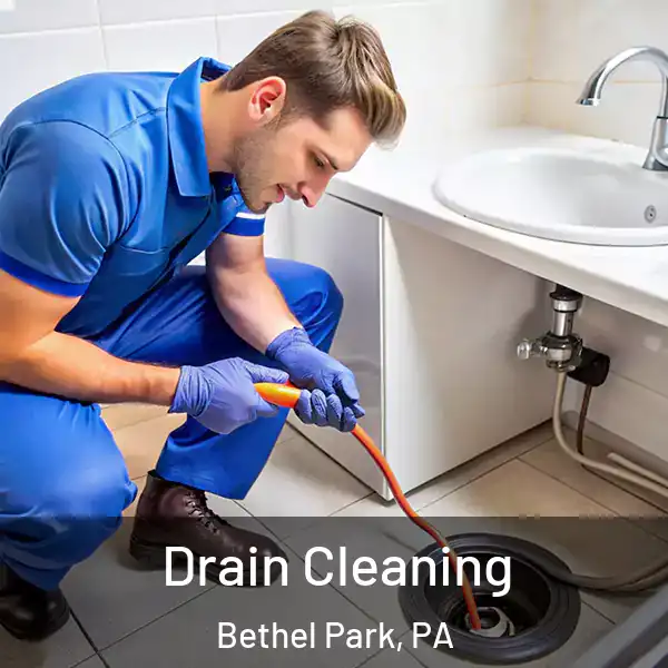  Drain Cleaning Bethel Park, PA