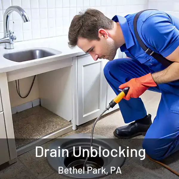  Drain Unblocking Bethel Park, PA