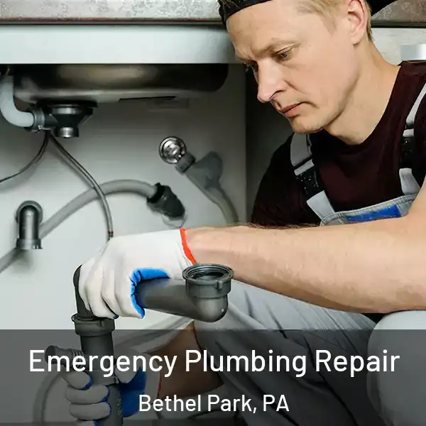  Emergency Plumbing Repair Bethel Park, PA