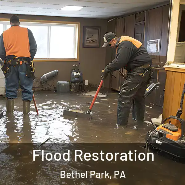  Flood Restoration Bethel Park, PA