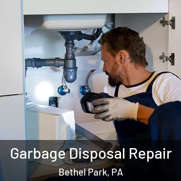  Garbage Disposal Repair Bethel Park, PA