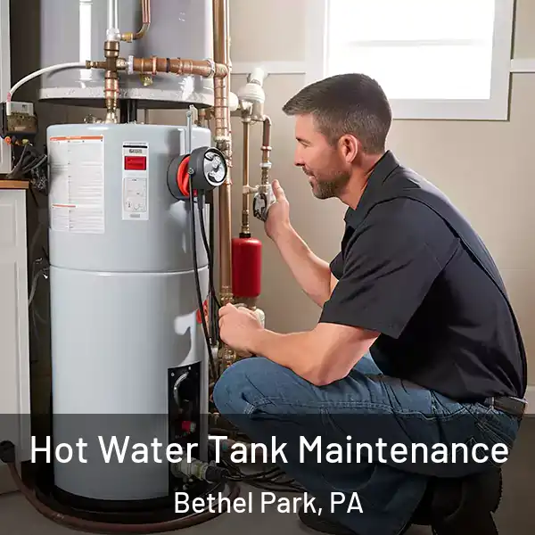  Hot Water Tank Maintenance Bethel Park, PA