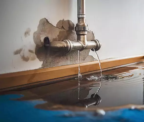 Professional Water Damage Restoration Experts in Bethel Park, PA — Fast, Reliable & Certified