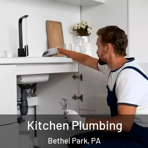  Kitchen Plumbing Bethel Park, PA