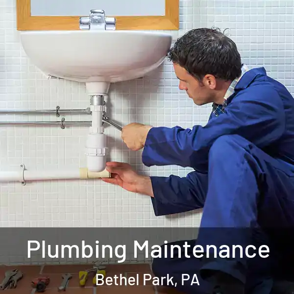  Plumbing Maintenance Bethel Park, PA