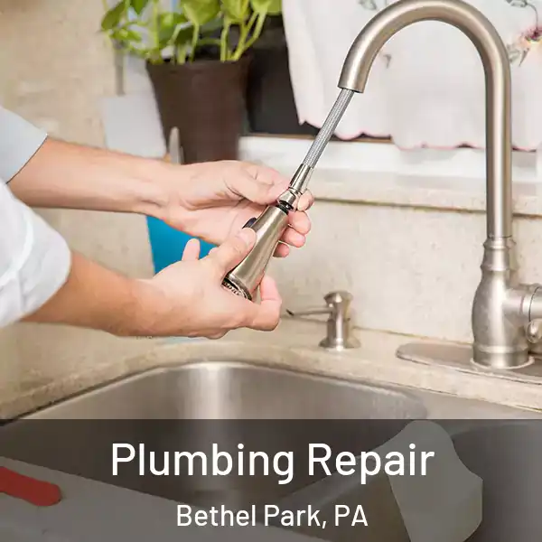  Plumbing Repair Bethel Park, PA