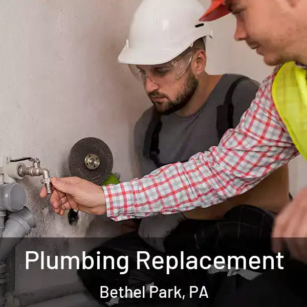  Plumbing Replacement Bethel Park, PA