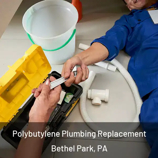  Polybutylene Plumbing Replacement Bethel Park, PA