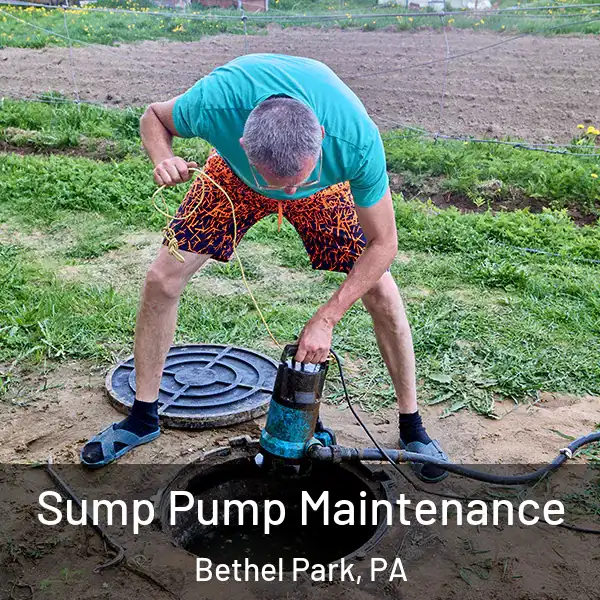 Sump Pump Maintenance Bethel Park, PA