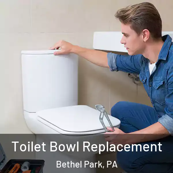  Toilet Bowl Replacement Bethel Park, PA