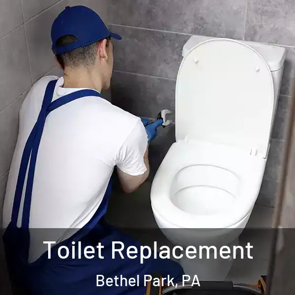  Toilet Replacement Bethel Park, PA