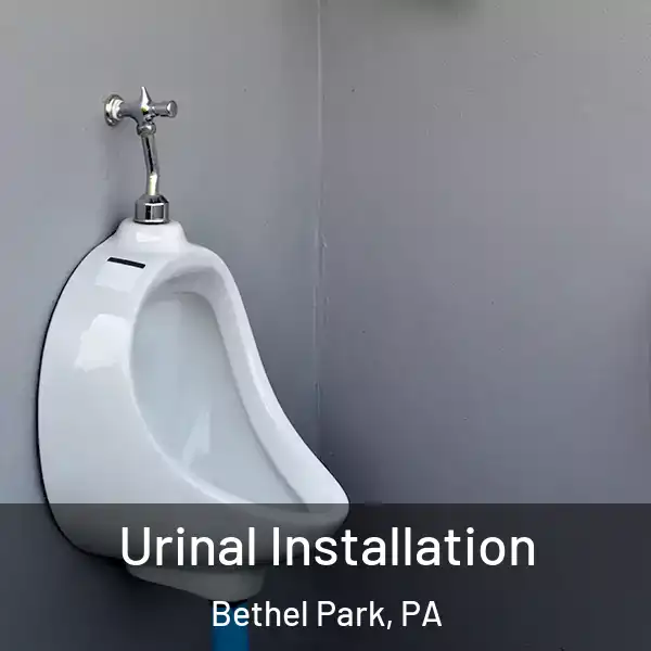  Urinal Installation Bethel Park, PA