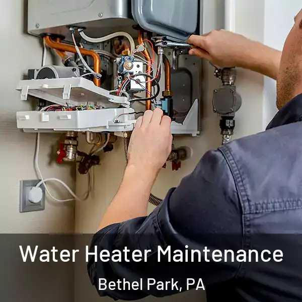  Water Heater Maintenance Bethel Park, PA