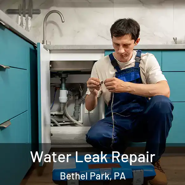  Water Leak Repair Bethel Park, PA